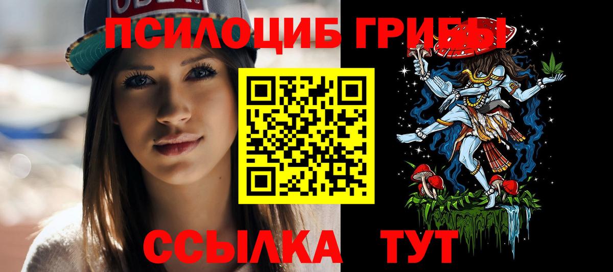 Галлюциногенные грибы GOLDEN TEACHER  где можно купить   Псилоцибиновые грибы ЛСД  Хабаровск  Вход с VPN 
