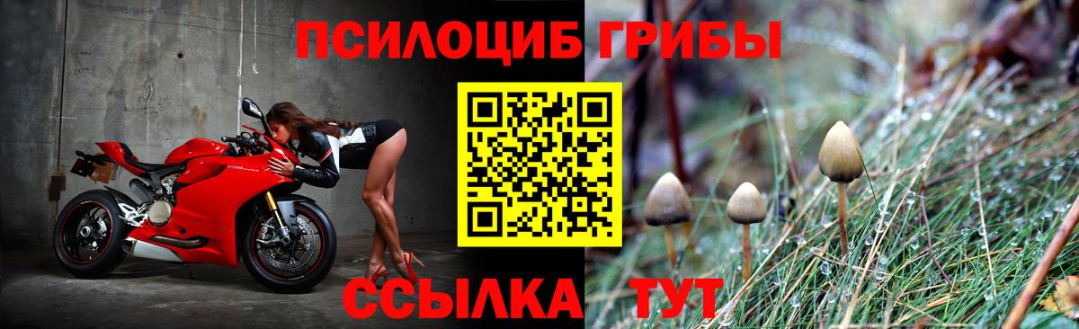 Псилоцибиновые грибы MAGIC MUSHROOMS Хабаровск